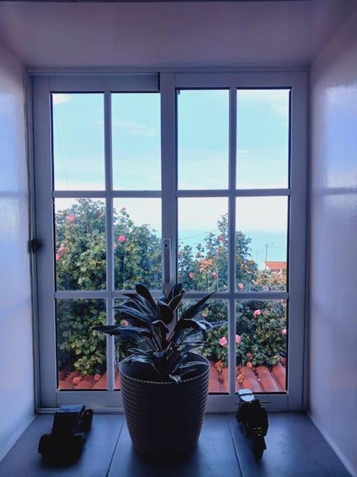 Achadas Da Cruz Farm House Εξωτερικό φωτογραφία
